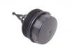 Oil Filter Housing:642 180 00 38